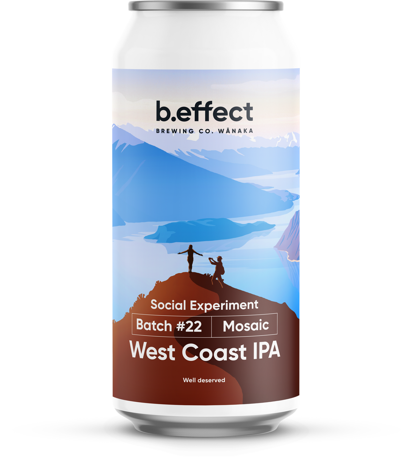 Social Experiment - IPA
