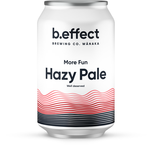More Fun Hazy Pale 24 Pack